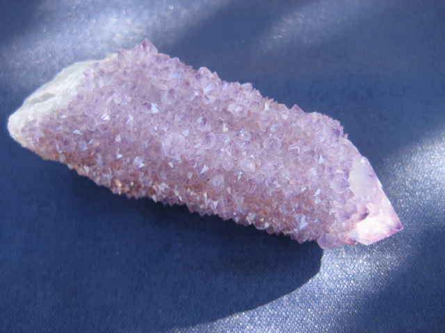 Amethyst Cactus protection, purification, release of addictions 2848